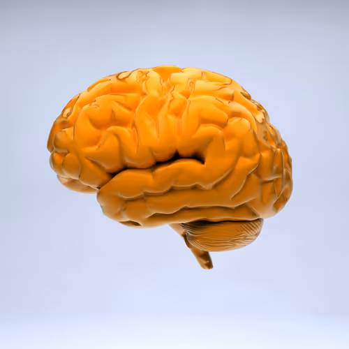 Item #77412820926303725204956055566925211190020908428863033075197849058792328658945 Media