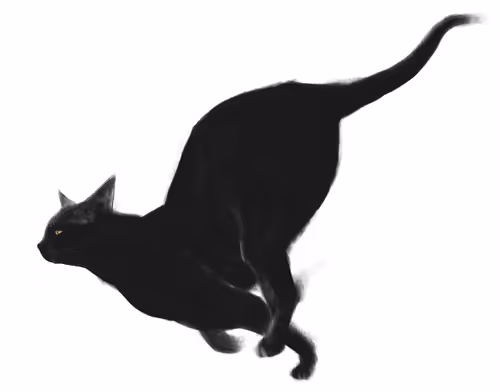 Item #82695799108276642583323751934613913274690371258081772662869305550886922092549 Media