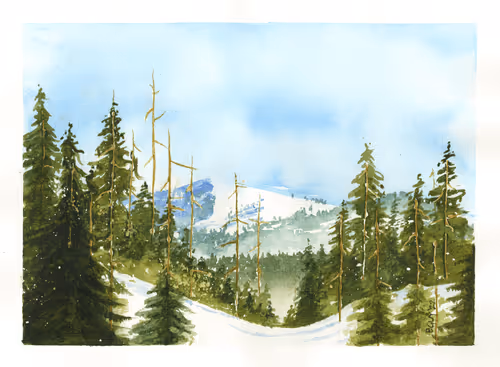 BP Watercolor