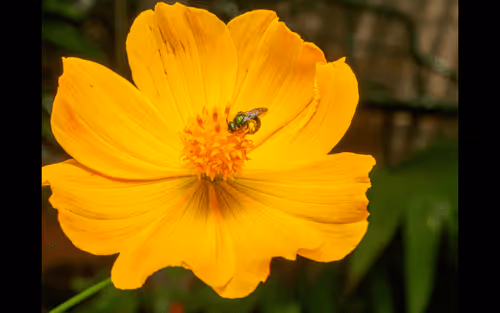 Item #112000724350228495474711911108130364376243231564197861893917064619259592714 Media