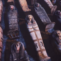 Mummies and coffins 