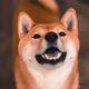 34470142884482375674331152583341387110725961593908059002011227516962571550721