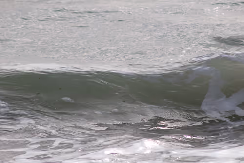 Item #110563264937173630415102547684714144673786021135482478862181301886713650479105 Media