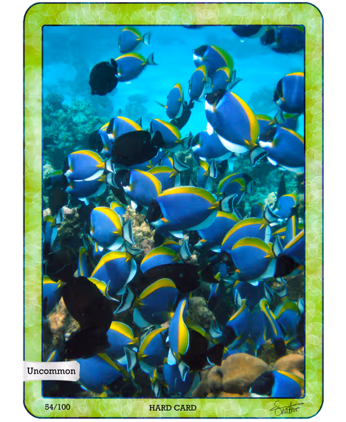 Item #64983343354440460478949369577107733247942492091796441794851447321452041207818 Media