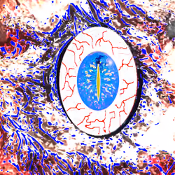 Eye