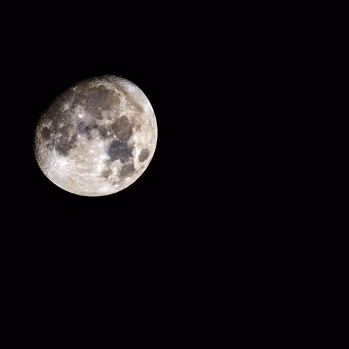 Moonlit Tranquility.