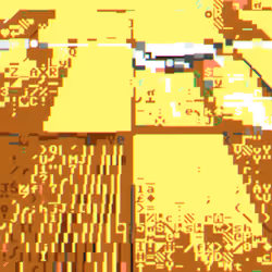 The Land