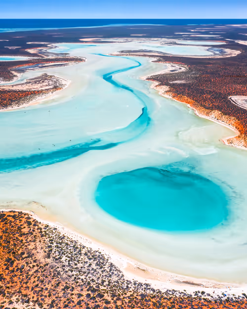 Item #98364308577151193896223353629965486931327977974902168475633960446214998589441 Media