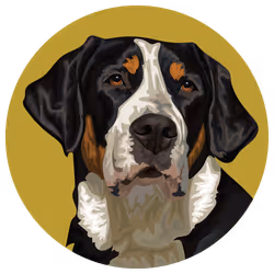 54766349128176429303044182404049584425310907481653304317570413864961634729985