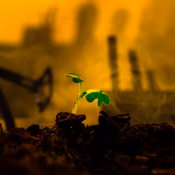 Impact of mining on nature №33 of 33