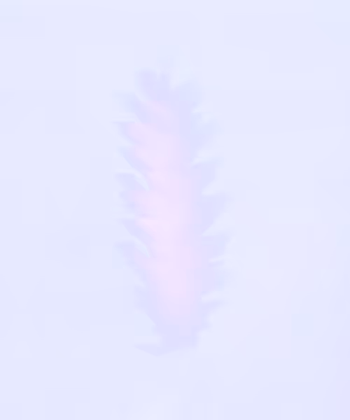 Item #66412083877775050052255921183624814536266007620308041883263231594949846761473 Media