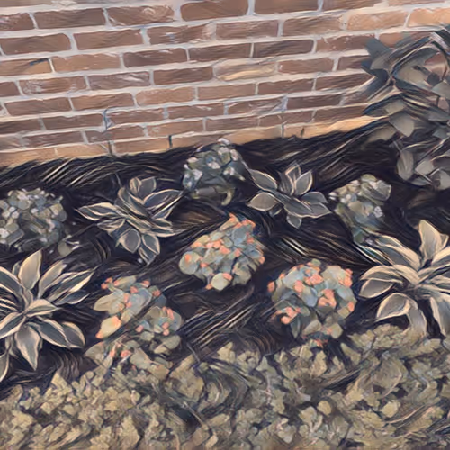 Crash_Cutta Collection