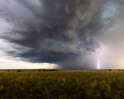 Item #57251113074943954855942840735628688179357395096498924603553152771186145361921 Media