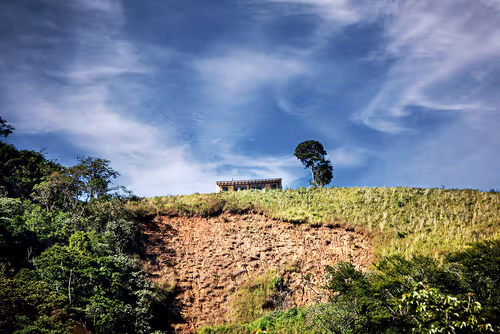 Item #52866533446256947539128955257179026022182065840337043931720506857805691486209 Media