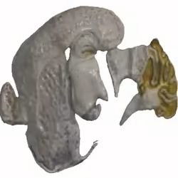 Mouse Brain