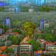 The City Of High Trees 