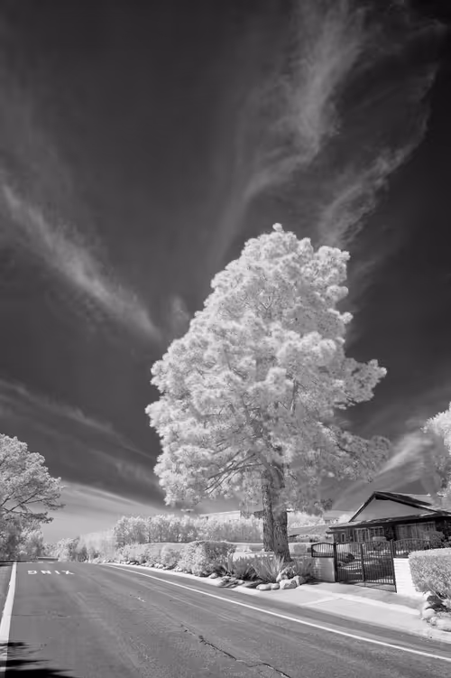 Item #19370616966559748584435896432036154917692480584478998448395270150600903360513 Media