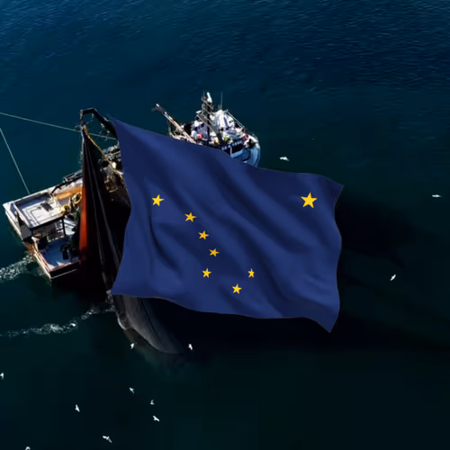 Item #66014886227560344638299723756269507276387272419138927399704737835008267386881 Media