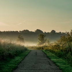 Tinted Walks