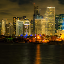 305 Nights