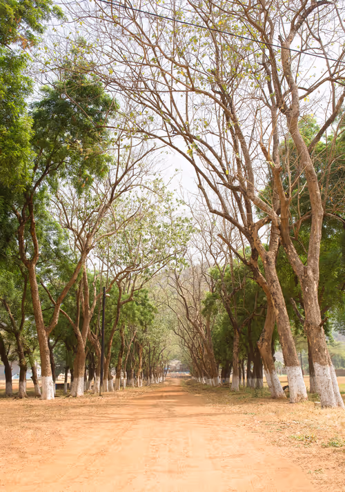 Item #58809729658004785625766705762406371743224030707088339904419797667116623069185 Media