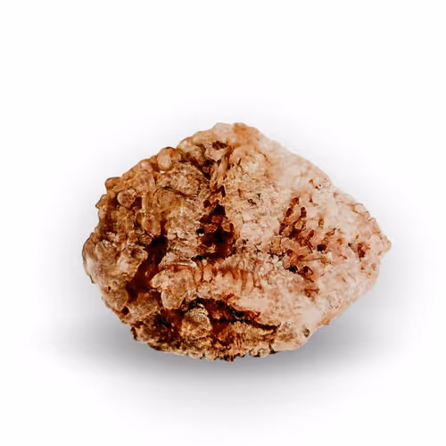 Item #52517746455901814958898160183103944313181907227358248103725221509009325948929 Media