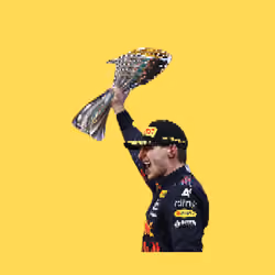 Max Verstappen World Champion #2