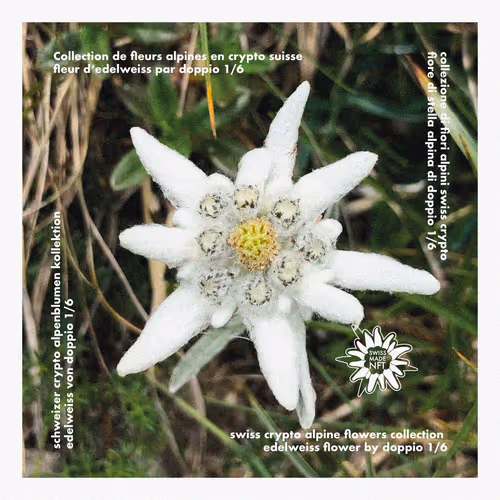 40701560831826123766766153565006701143315228291478980773029414582303403802625