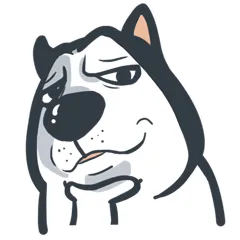 interesting face dog