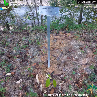 Item #8500196597889277390194123329501889087166328879864934763448348843507523256321 Media