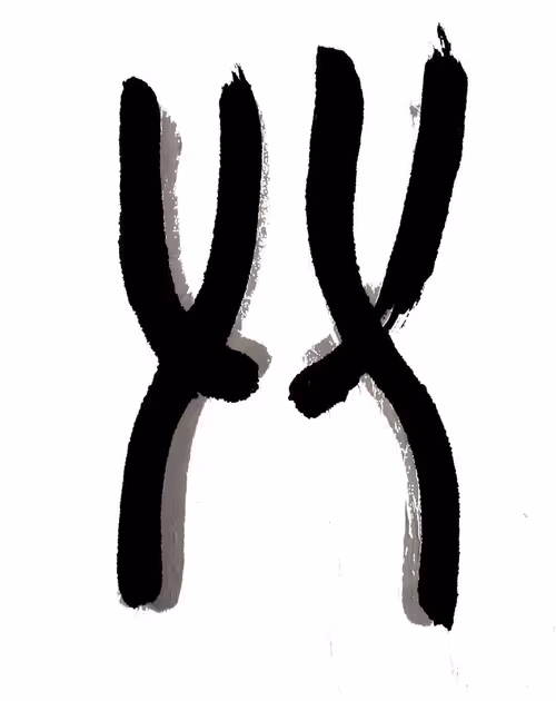 Item #33182819958798274765736474442536302017080367810703815138338418231519282724865 Media