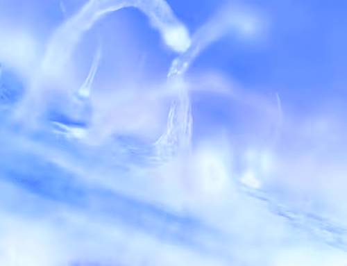 Item #71646257518770613568983710813551014237803002136866425209291833814088331296769 Media