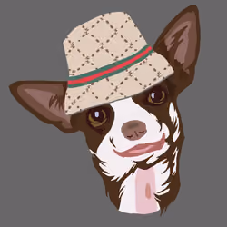 bucket zz the dog zeus 