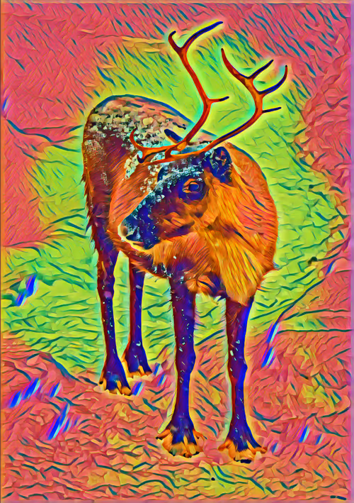 Item #75164984898551115248887010361709320867309151549896276985250493268172598149121 Media