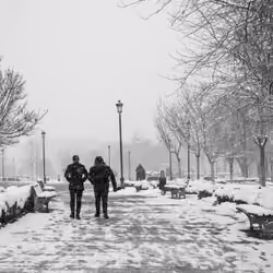 In the Light of Snow