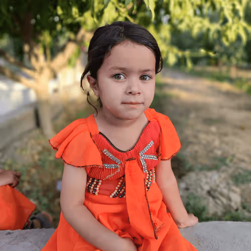 Untitled Collection #40231261 - old