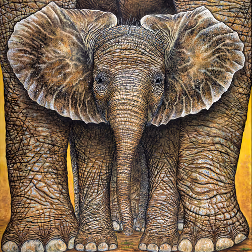 Donnabyersart Collection