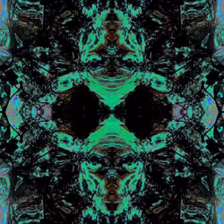 81335810380546067592074661371981709571494442828138360360358581728754660278273