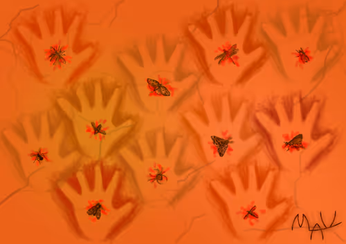 Item #43562279064260015022152470357316529604783029359738944501454526742761538846721 Media