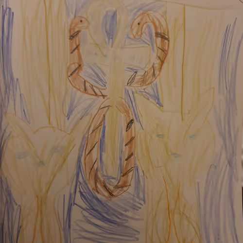 Untitled Collection #21493068