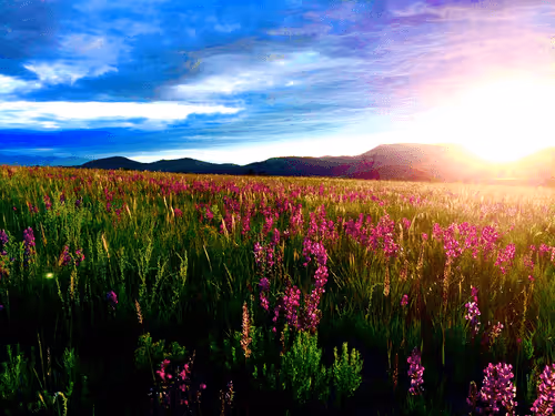 Item #3545434364027388159524564873243937151540135402704887169129841894555920629761 Media