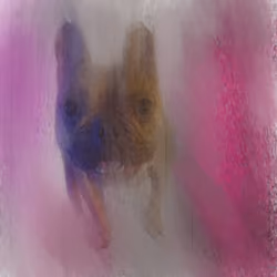 Best Dog