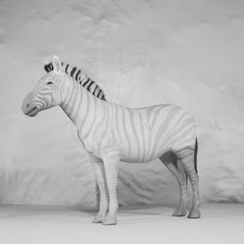 Item #77393045585987102520937777163323385445134384550005478992403676748754792218625 Media