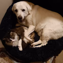 Best Friends 