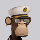 Bored Ape Punk Club