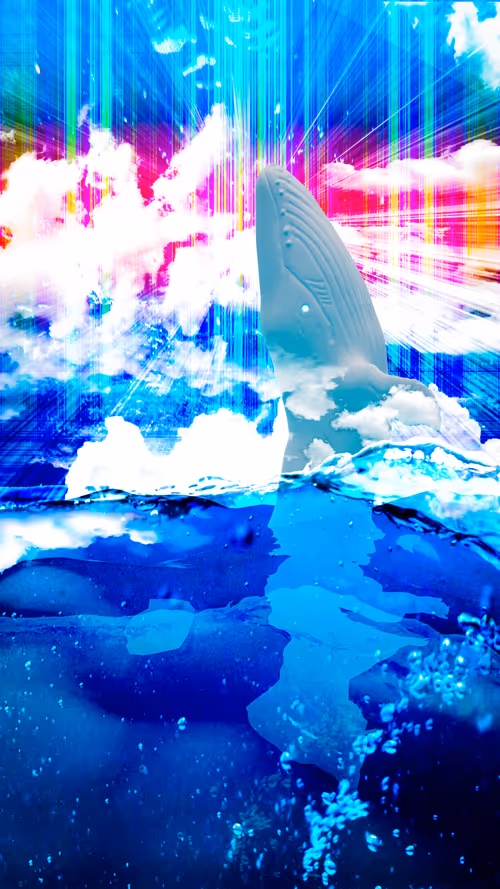 Item #34407012467013264369072826680281558624243883765584913843852975104528989814785 Media