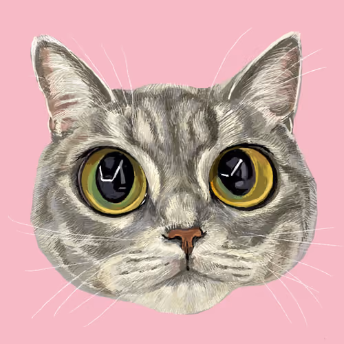 adorable cat 016