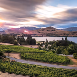 Wine Country