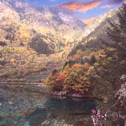 Mirror sea 1