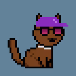 PunkCat #2650